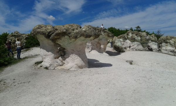 20150503_144930.jpg