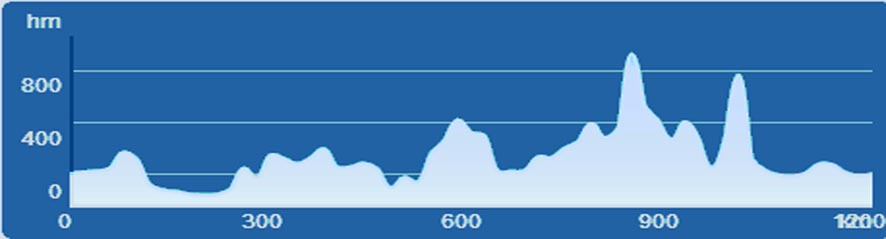 SVS 2019 Route Climb forum.jpg