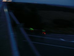 P1130971